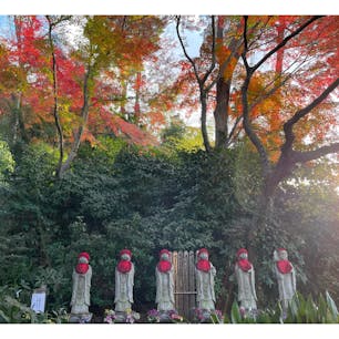 高幡不動尊金剛寺