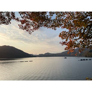 相模湖
撮影時期：11月下旬