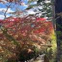 奈良で女子旅におすすめの観光スポットランキングtop92 観光地