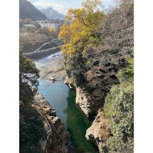 猿橋
撮影時期：11月下旬