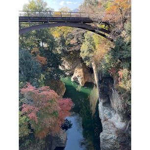 猿橋
撮影時期：11月下旬