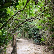 ミシャシから竹富島集落に向かって歩きます