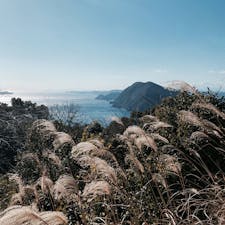 🌏大分県佐伯市
📍高平キャンプ場