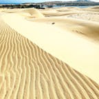 White sand dunes ムイネー郊外にある白い砂漠は本当に美しいです。バギーで砂漠を駆け巡ることができます。