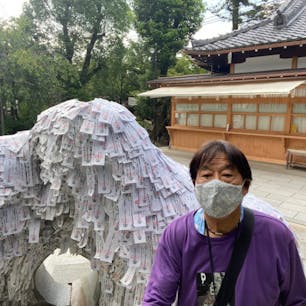 京都金比羅宮

#サント船長の写真 #京都金比羅