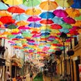 Agueda in Portugal.

アゲダで毎年7月に開催されている傘祭り。
ちょっと田舎の街なので行き帰りは電車の時刻表を要チェック。
#portugal #festival # agueda