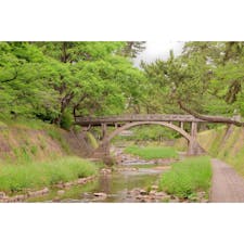 夙川です。春は桜色に染まります。