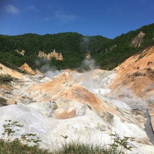 登別温泉の地獄谷。地面から温泉が滲み出てくる様子が、すぐ間近で見られました。