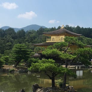 久方ぶりの金閣寺は眩しかった…暑過ぎて休憩処がありがたや。境内で冷たいお抹茶をいただきました🍵 #夏の京都 #京都 #お寺 #禅寺