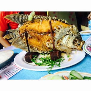 2016.8.15

メコンデルタ
ベトナムに行って観光に困ったら、メコン川ツアー！
この写真の魚は、ツアーの昼食に出たものです♡
(他にも、生春巻きやスープなど盛りだくさん🍴)

Englishツアーは、大人数でワイワイ楽しめます。音楽鑑賞会をしたりフレッシュな果物を食べたり🍊

Japaneseツアーは少し値段が上がりますが、Englishツアーよりも少人数のため、ヘビ巻き体験やお寺巡りなど、内容がもの凄く充実していました！ガイドさんが話す日本語も独特で面白かったです😂
夏はスコールが降るため、カッパor傘は必須です！

私はいけませんでしたが、クチトンネルのツアーも人気のようですよ。

#ベトナム #メコン川 #メコンデルタ