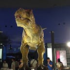 福井県立恐竜博物館🦖