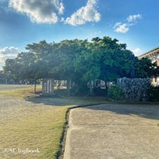 ▶︎鹿児島 沖永良部
日本一のガジュマル