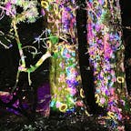 「チームラボ 偕楽園 光の祭」
樹齢800年を超える巨木に映し出されるのは花々の移ろい