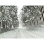 私は一体どこにいますか？
#202201 #s岐阜