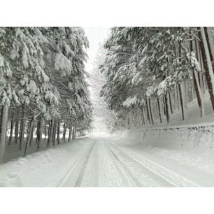 私は一体どこにいますか？
#202201 #s岐阜