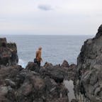 静岡県は伊豆半島の城ヶ崎海岸。柵が無いし、強風だし、危ないって言ったのに、旦那はひょいひょい崖ギリギリまで行っちゃいました。