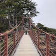静岡県伊豆半島にある城ヶ崎海岸の吊り橋。思ったよりは短く、しっかりした橋でしたが、高所恐怖症のととべえにはきつかったです。