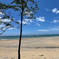 #沖縄#国頭村#海