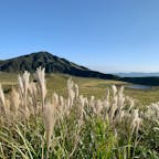 熊本　阿蘇山🌋
草千里という火口跡です。
秋だったので、ススキのベージュと山と草原の緑と空のブルーが美しすぎた😳
ドライブが最高に気持ち良かったので、もう一度行きたい！
