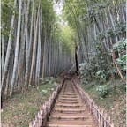 竹林の道が坂になっていて見晴らしがいいです。