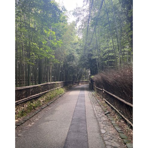 嵐山・嵯峨野・太秦・桂