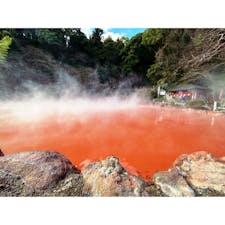 【別府】地獄めぐりで必ず寄りたい！一面真っ赤な血の池地獄

大分県別府市にある地獄めぐりではさまざまな地獄を見ることができます。

こちらでは、あたり一面が真っ赤に染まった池に熱湯が湧き出す血の池地獄を見ることができます。近くには足湯もあり、移動で披露した足を癒すこともできます。また、隣には別の竜巻地獄も見ることができるのでオススメです。

地獄めぐりは他にもたくさんあり、別府に到着したらまずは別の海地獄から巡ることをオススメします。

料金はそれぞれの地獄で支払うシステムになっており、全ての地獄で使える共通観覧券も販売されています。1日に5ヶ所以上行く予定なら共通観覧券を買うことをオススメします。



［アクセス］
JR別府駅・別府大学駅からバスで20分
亀川駅からレンタサイクルでも行けます



［料金］
入場料400円
共通観覧券 2000円



#別府 #地獄めぐり #温泉 #温泉旅行 #別府温泉 #別府観光 #温泉巡り #血の池地獄 #大分 #大分県 #九州 #九州旅行 #温泉地 #鉄道旅行 #鉄道好き