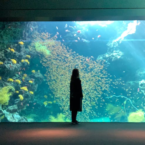 アクアマリンふくしま