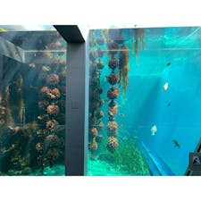 アクアマリンふくしま