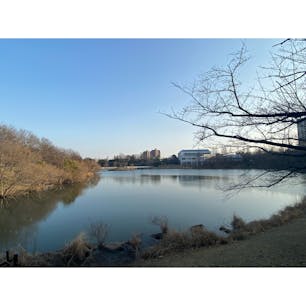 圦ヶ池公園
#202203 #s愛知