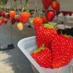 御殿場高原  時之栖