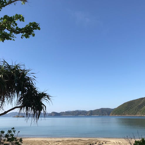 加計呂麻島