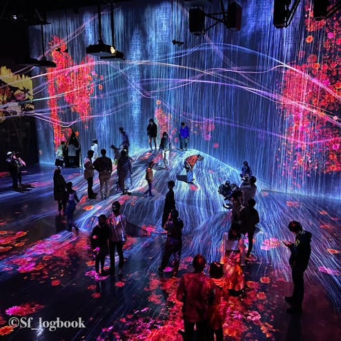 【閉業】森ビルデジタルアートミュージアム エプソンチームラボ ボーダレス