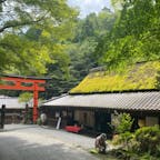 愛宕山神社一の鳥居


#サント船長の写真　#鳥居