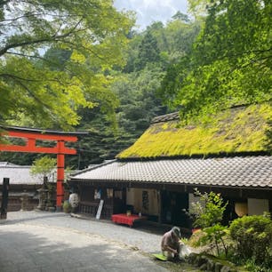 愛宕山神社一の鳥居


#サント船長の写真　#鳥居