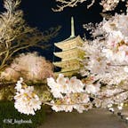 📍京都 東寺
夜桜ライトアップ🌸✨