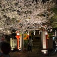 祇園白川巽橋　(夜桜)
2022年3月30日
辰巳大明神

#サント船長の写真