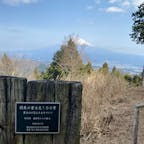 白鳥山公園
少しズレると木は被らない✌🏻
#202203 #s山梨 #関東の富士見100景