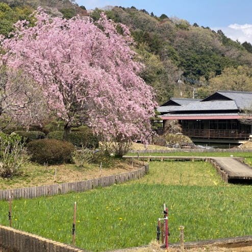 西山御殿（西山荘）