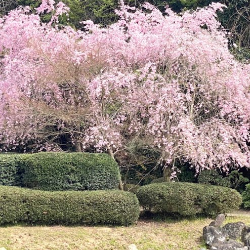 西山御殿(西山荘)