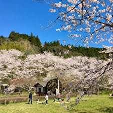 大分県
豊後高田市