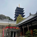 中山寺⛩あいにくの曇り空ですが青い五重塔がとても鮮やかで綺麗でした✨