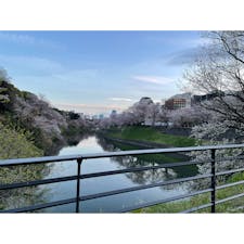 #東京
#皇居
#桜