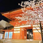 📍京都 八坂神社
夜桜🌸