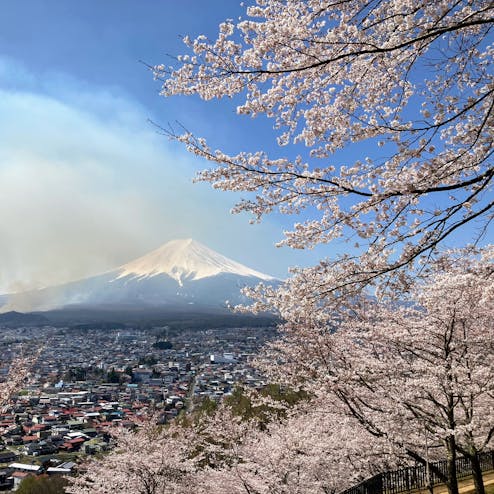 新倉富士浅間神社