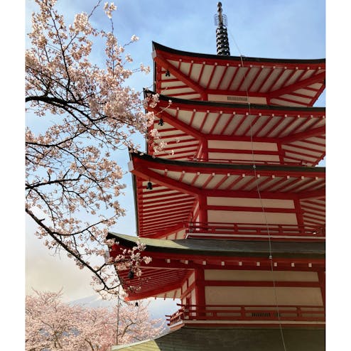 新倉山浅間公園