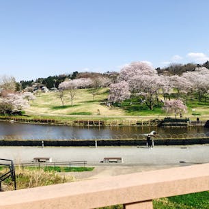 2022.4.9
呉羽山公園都市緑化植物園