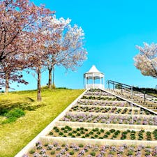2022.4.9 淡路島明石海峡公園