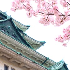 愛知　名古屋城
2022/4/3の開花状況。桜の本数が多く、存分に楽しめた。桜祭も開催されていた。
