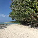 沖縄で人気のビーチランキングtop50 沖縄 観光地 沖縄で人気のビーチランキングtop50 沖縄 観光地