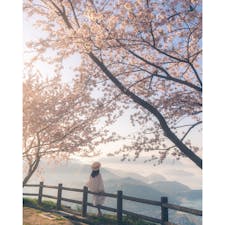 香川県-紫雲出山